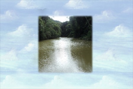 Para melhor visualização clique com o lado esquerdo do mouse.